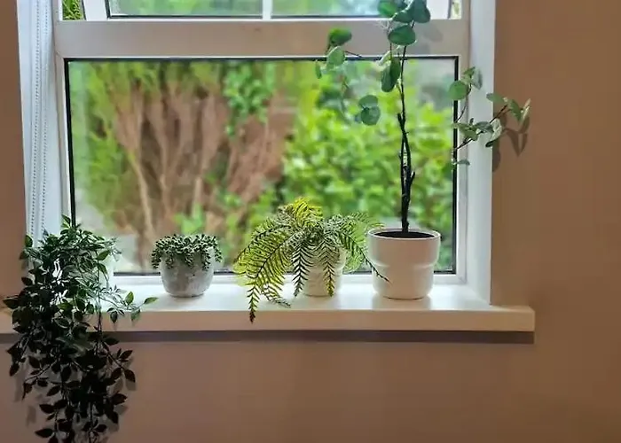 Blima Central * Dublin